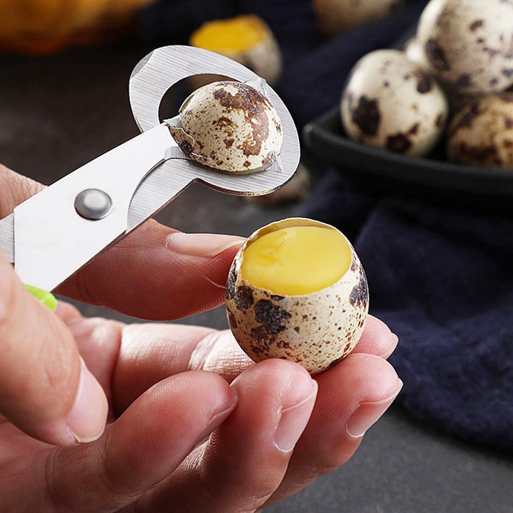 Paloma codorniz apertura griet - Egg Separator Tool reseña y precio