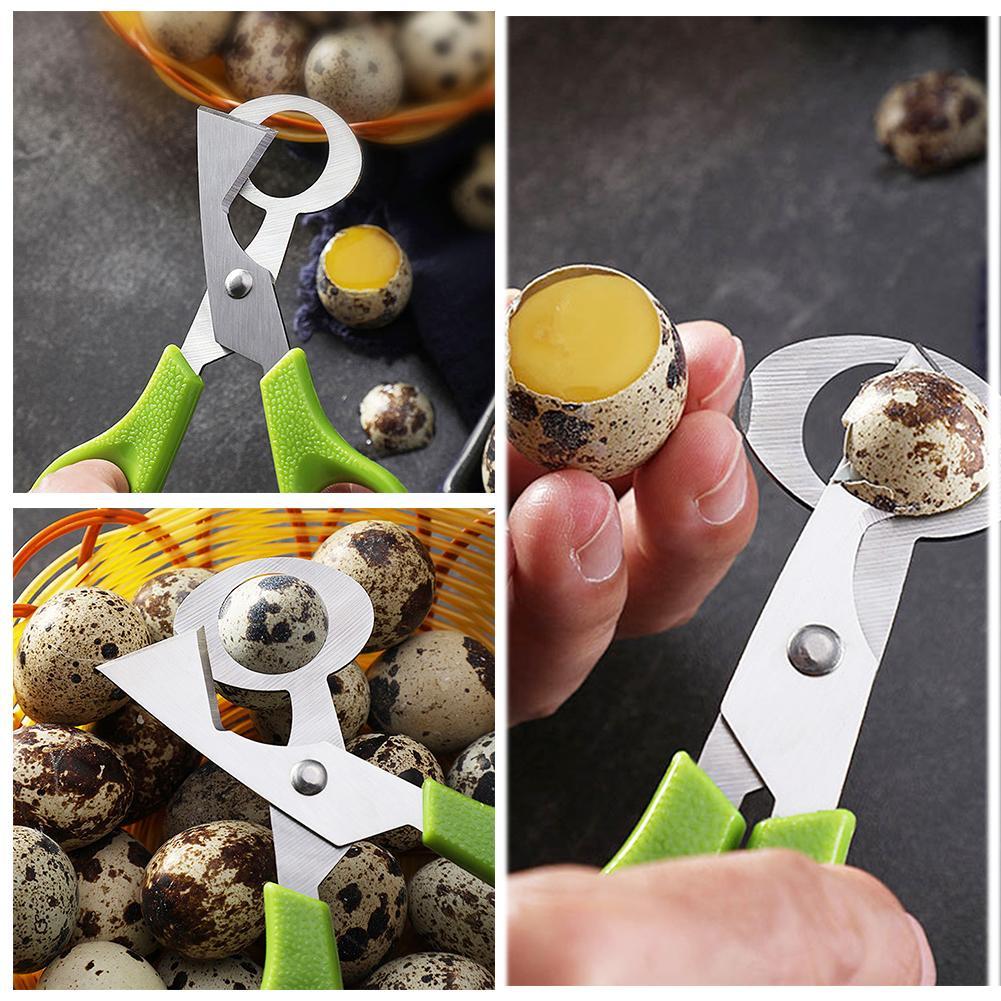 Paloma codorniz apertura griet - Egg Separator Tool reseña y precio