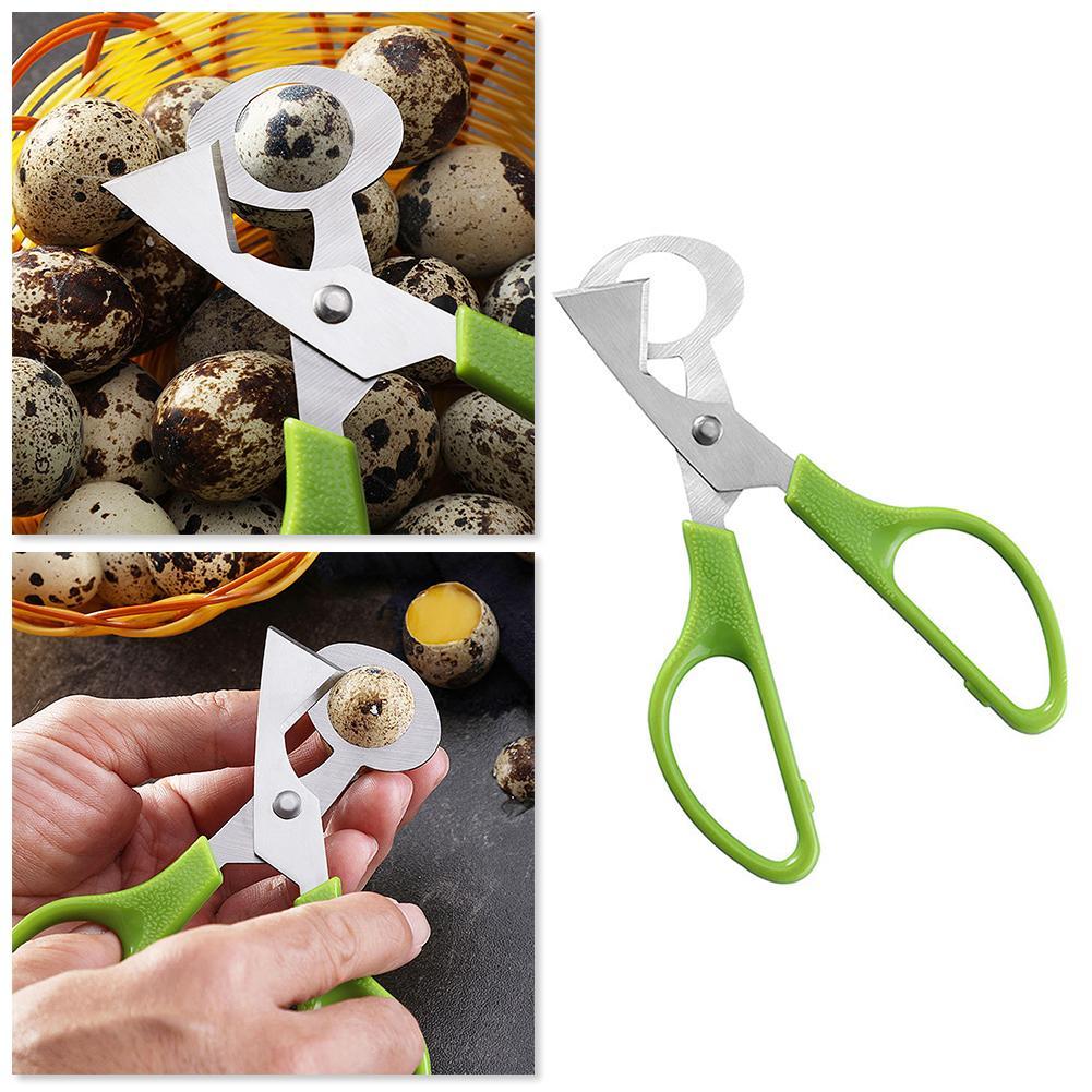 Paloma codorniz apertura griet - Egg Separator Tool reseña y precio