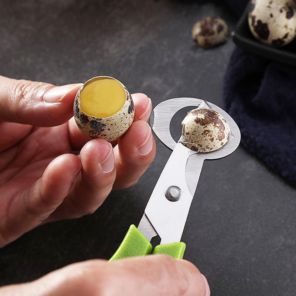 Paloma codorniz apertura griet - Egg Separator Tool reseña y precio